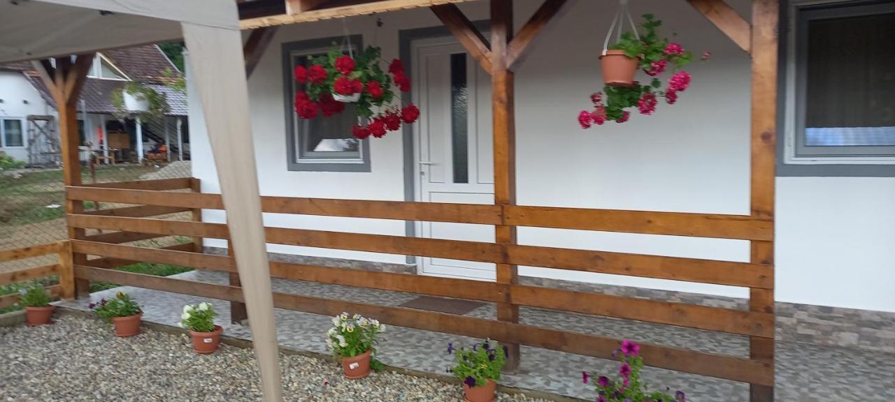 Casa Claudiu Villa Ieşelniţa Exterior foto