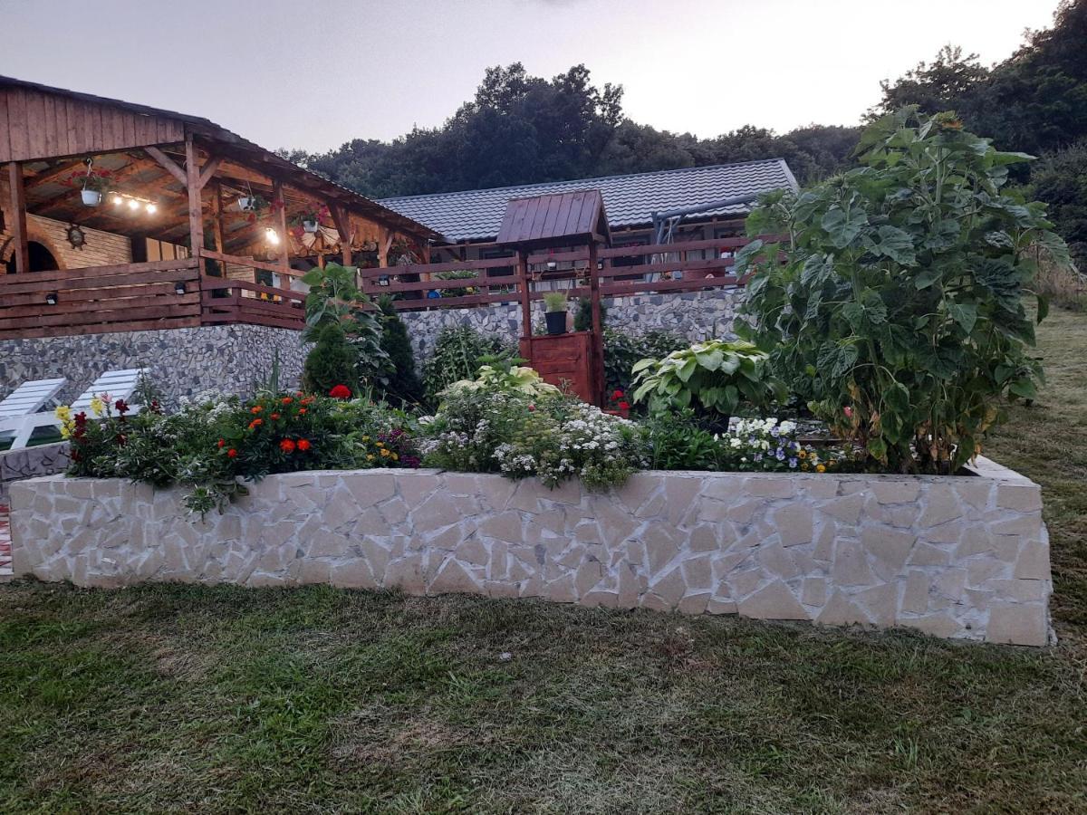 Casa Claudiu Villa Ieşelniţa Exterior foto